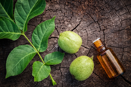 Walnuts, bottle of Juglans regia tincture. Homeopathy medicine. Top view, flat lay.の写真素材