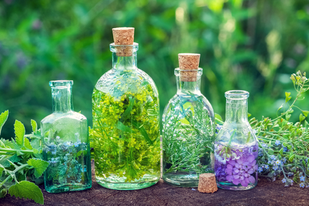 Bottles of herbal infusion and healing herbs outdoors. Herbal medicine.の写真素材
