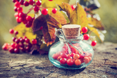Bottles of Guelder rose berries on stump outdoors, Red Viburnum twig on background, herbal medicine. Selective focus.の写真素材