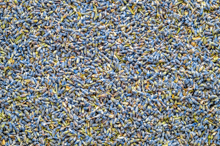 Background of dry lavender flowers, dried lavanda buds. Top view.の写真素材
