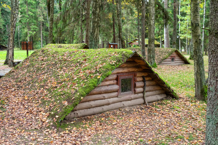 Stankovo villageââ, Belarus - October 08, 2017: vintage wooden dugouts on the territory of military historical complex Partizanen camp in Stankovoââ, Minsk Region, Belarus.のeditorial素材