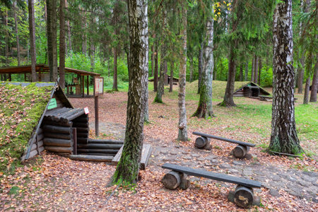 Stankovo villageââ, Belarus - October 08, 2017: A forest dugouts on the territory of military historical complex Partizanen camp in Stankovo villageââ,  Minsk Region, Belarus.のeditorial素材