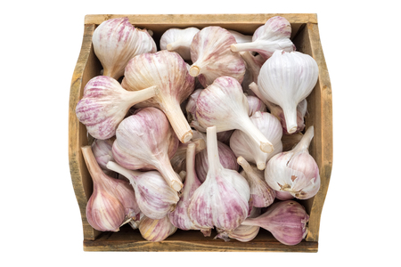 A lot of garlics in wooden box.の写真素材