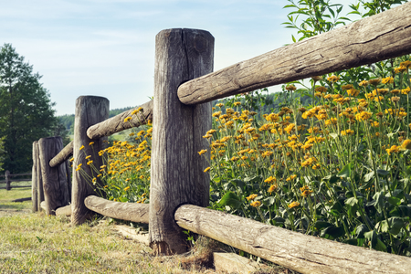 Wooden rustic fence and flowerbed in the village.の写真素材
