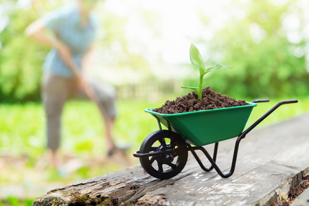Small wheelbarrow with growing seedling in the soil. Woman working in the garden in background not in focus.の写真素材