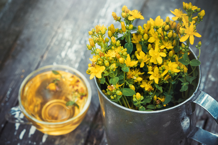 St Johns wort flowers in a large retro mug and Healthy hypericum tea - not in focus. Top view.の写真素材