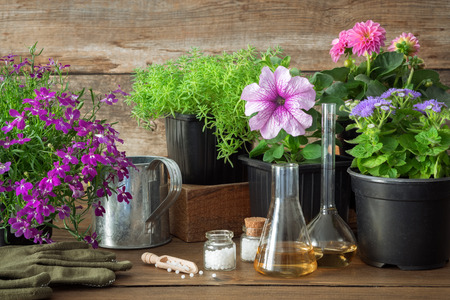 Seedling of garden plants and flowers, watering can and homeopathic remedies for plants. Natural alternative treatment of plant diseases.の写真素材