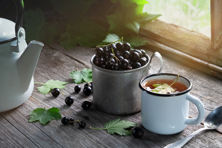 Mug of black currants, enameled cup of fruit tea with black currant berries, tea kettle on wooden table in a retro village house.の写真素材
