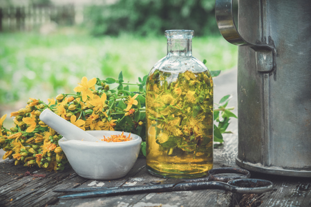 Hypericum - St Johns wort plants, oil or infusion transparent bottle, mortar on wooden table outdoors.の写真素材
