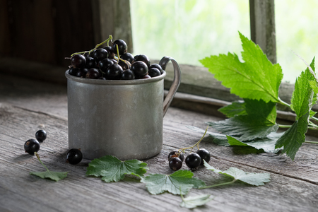 Vintage mug full of black currant berries on rustic wooden table.の写真素材
