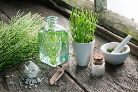 Horsetail healing herbs, bottle of equisetum infusion, mortar and bottles of homeopathic globules. Homeopathy and herbal medicine.の写真素材