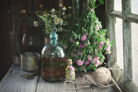 Clover tincture or infusion, essential oil bottle and medicinal herbs bunches near window inside the retro village house. Herbal medicine.の写真素材