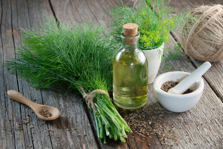 Bunch of fresh green dill, mortar of fennel seeds and dill oil on wooden board.の写真素材