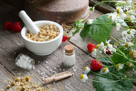 Mortar of dried daisies herbs, homeopathic globules and chamomile plants. Homeopathy and herbal medicine.の写真素材