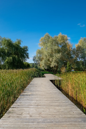 Wooden ecological footpath, footbridge over the beautiful lake.の写真素材