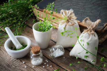 Bunch of shepherds purse, bottle of homeopathic globules, mortar of bursa pastoris medicinal herbs and old book. Homeopathy medicine.の写真素材