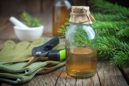 Fir aromatic oil.の写真素材