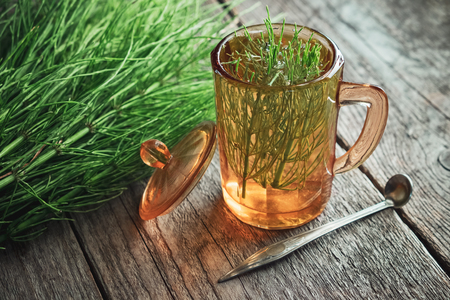 Vintage glass cup of healthy tea or infusion and bunch of horsetail herbs on wooden table.の写真素材