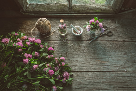 Pink clover flowers, mortars, clover tincture or infusionの写真素材