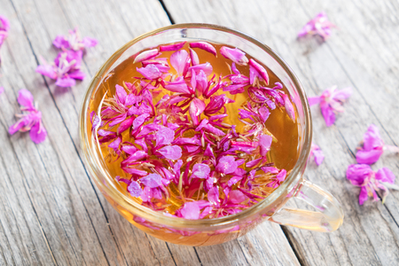 Fireweed healthy herbal tea. Mug of chamerion tea, top view.の写真素材