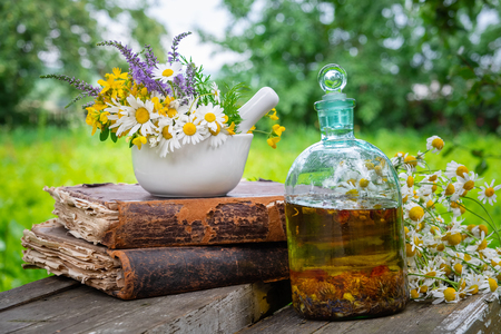 Mortar of  healing herbs, bottle of healthy essential oil or infusion, old books and bunch of chamomile plant. Herbal medicine.の写真素材