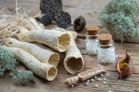 Bottles of homeopathic globules, dried moss, dry roots, nuts and plants. Homeopathy medicine.の写真素材