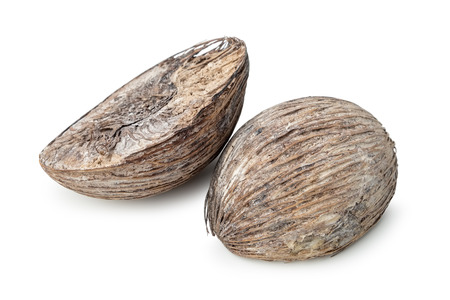 Dried coconut on whiteの写真素材