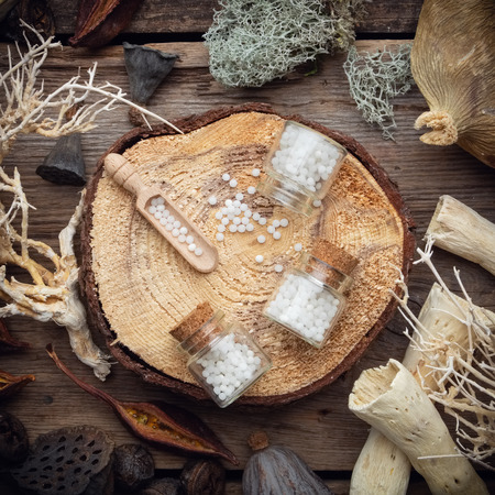 Bottles of homeopathic globules on wooden stump, dried moss, dry roots, nut shell, dry plants, eucalyptus and lotus seeds. Top view.の写真素材
