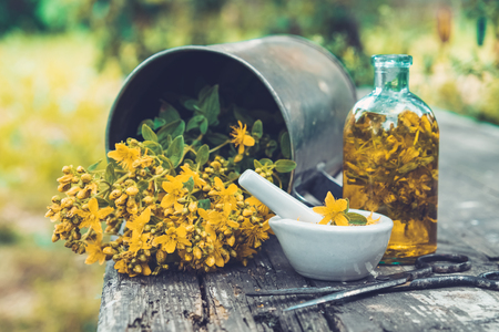 St Johns wort flowers, oil or infusion bottle, mortar and big vintage metal mug of Hypericum plants on wooden board outdoors.の写真素材