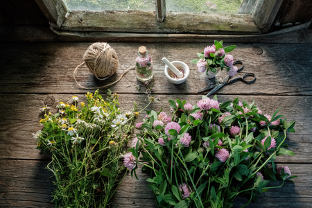 Pink clover, daisies and hypericum flowers, mortar, clover tincture or infusion, scissors and jute on old wooden table inside the retro village house. Top view.の写真素材