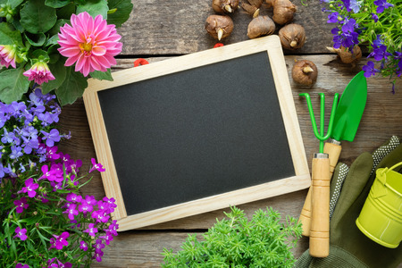 Empty blackboard, seedlings of garden flowers, bucket, shovel, rake, gloves. Top view. Copy space for your text.の写真素材