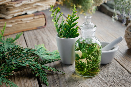 Bottle of Thuja infusion or oil, mortar and old books. Herbal medicine.の写真素材