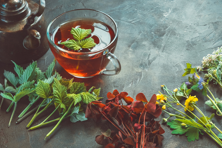 Several medicinal plants and herbs, healthy herbal tea cup and vintage copper tea kettle. Herbal medicine. Copy space for text.の写真素材