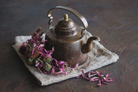 Vintage copper teapot of healthy echinacea tea and dry coneflower buds.の写真素材