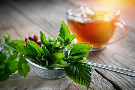 Medicinal plants and herbs in tea infuser, healthy herbal tea cup on background.の写真素材