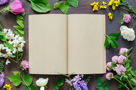Medicinal herbs and plants, open blank paper book. Top view.の写真素材