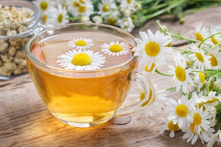 Daisy flowers in transparent glass tea cup, healthy chamomile herbs and glass jar of dry daisies buds.の写真素材