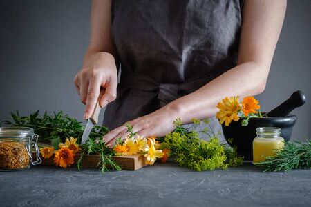 Herbalist woman chopping medicinal herbs with a knife to prepare healing medicines for treatment. Herbal medicine concept.の写真素材
