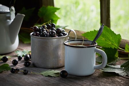 Enameled cup of healthy tea with black currant berries, mug of black currants, tea kettle on wooden table.の写真素材