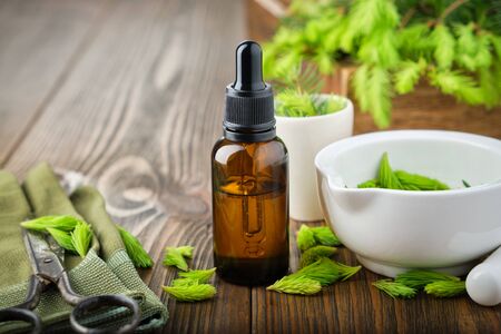 Dropper bottle of essential oil from fir buds and needles, white mortar of spruce tips, twigs of fir tree on wooden table.の写真素材