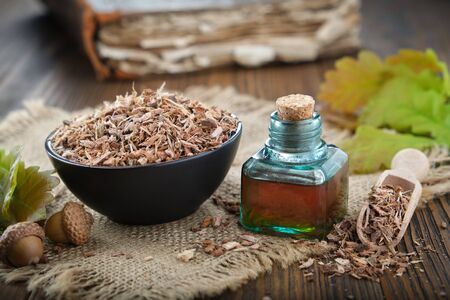 Healthy oak bark in black ceramic bowl, infusion or tincture bottle, green oak leaves and acorns on wooden table.の写真素材