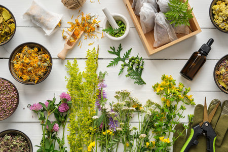 Medicinal plants, bowls of dry medicinal herbs, tea bags, dropper bottle of essential oil, pruner and gloves on wooden table. Top view, flat lay. Alternative medicine.の写真素材