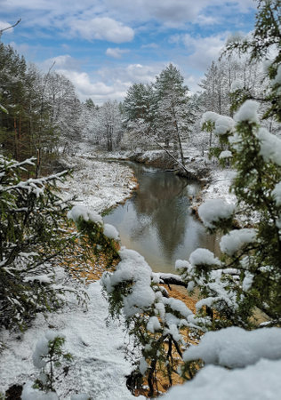 Beautiful winter landscape - river view through juniper branches. Focus on the landscape - river and forest. Minsk region, Belarus. High quality photo by phone.の写真素材