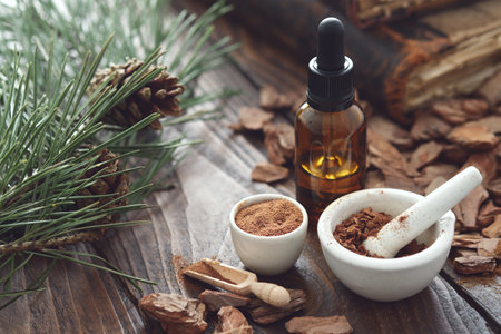 Pine bark, dropper bottle of tincture or oil, mortars of powdered pine bark, branches of pine tree and old books on dark wooden board.の写真素材