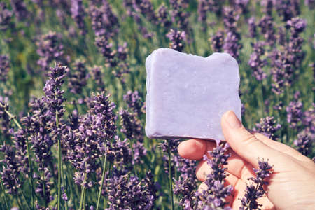 Homemade lavender soap bar in hand, lavender flowers field on background.の写真素材