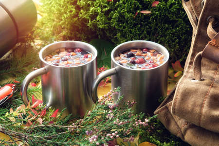 Hiking mugs of healthy fruit tea, canvas backpack of traveller, fallen autumn leaves, forest moss, sprigs of heather and spruce in autumn forest.の写真素材