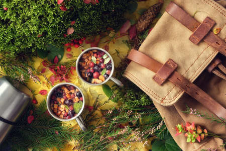 Hiking mugs of healthy fruit tea , backpack of traveller,  fallen autumn leaves, forest moss, sprigs of heather and spruce, top view, flat lay.の写真素材