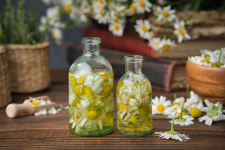 Bottles of chamomile essential oil or infusion, plucked daisy flowers, old books, bunch of chamomile and bowl of daisy flowers on background. Alternative medicine.の写真素材