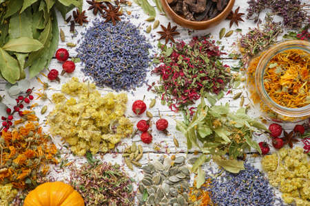 Medicinal herbs, plants, roots, berries, ingredients for making of herbal medicine drugs, tea or infusion. Top view, flat lay. Alternative and herbal medicine concept.の写真素材