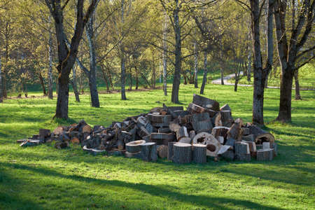 The sawn wood lies in a heap. A stack of dry sawn logs. Large pile of sawn tree trunks cut into pieces for firewood lie on the grass in park.の写真素材